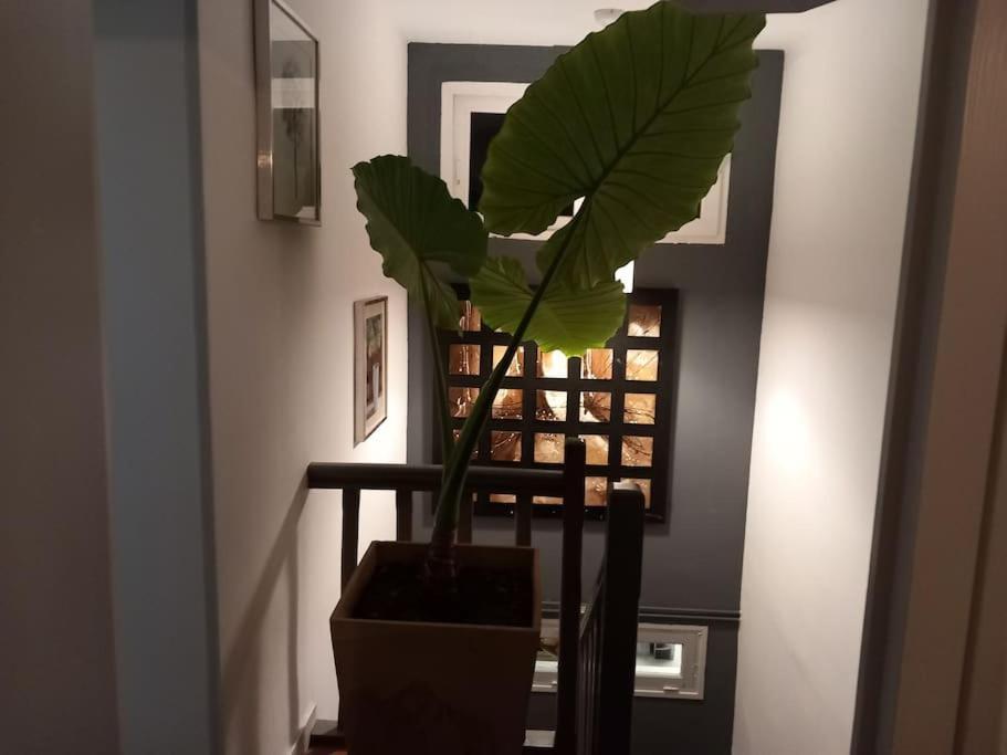 Maison Cosy - 4 Chambres Doubles ベルジュラック エクステリア 写真
